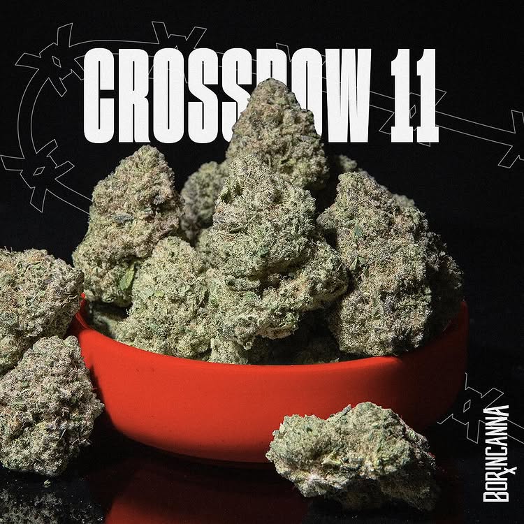 strain-crossbow-11
