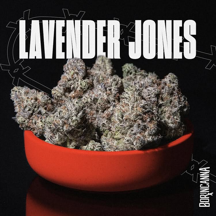 strain-lavender-jones