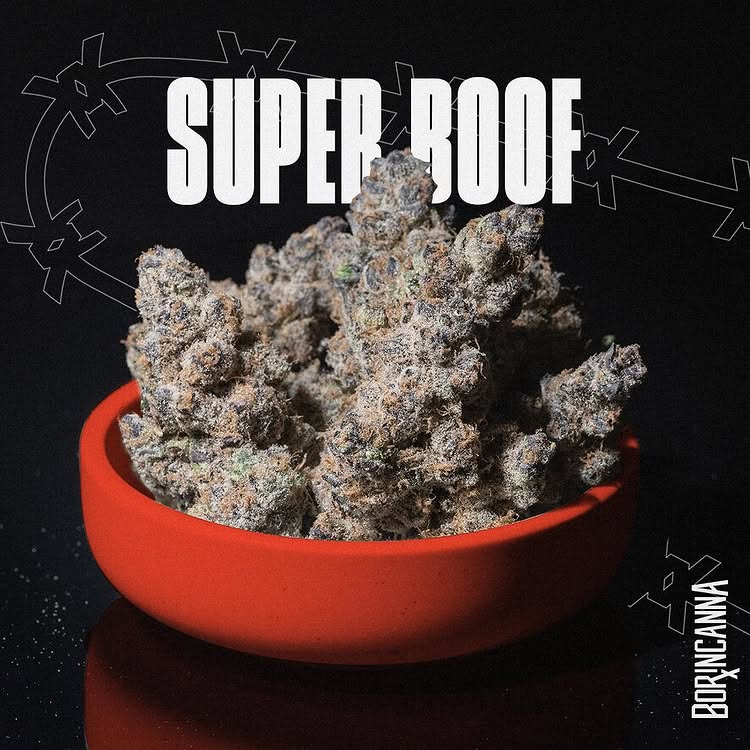 strain-super-boof