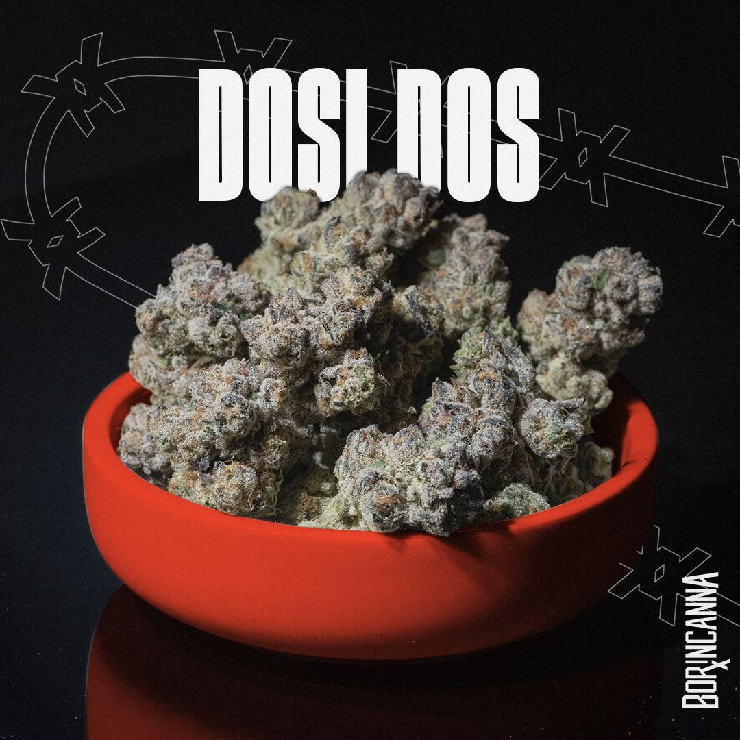 strain-dosi-dos
