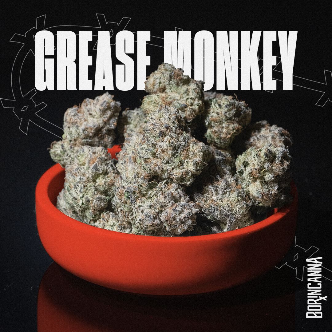 strain-greasy-monkey