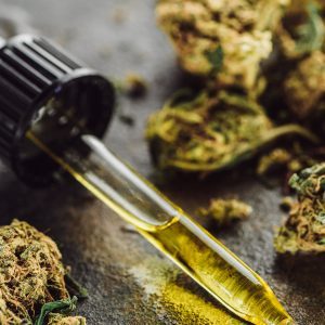 close up view of medical marijuana buds, bottle and dropper with hemp